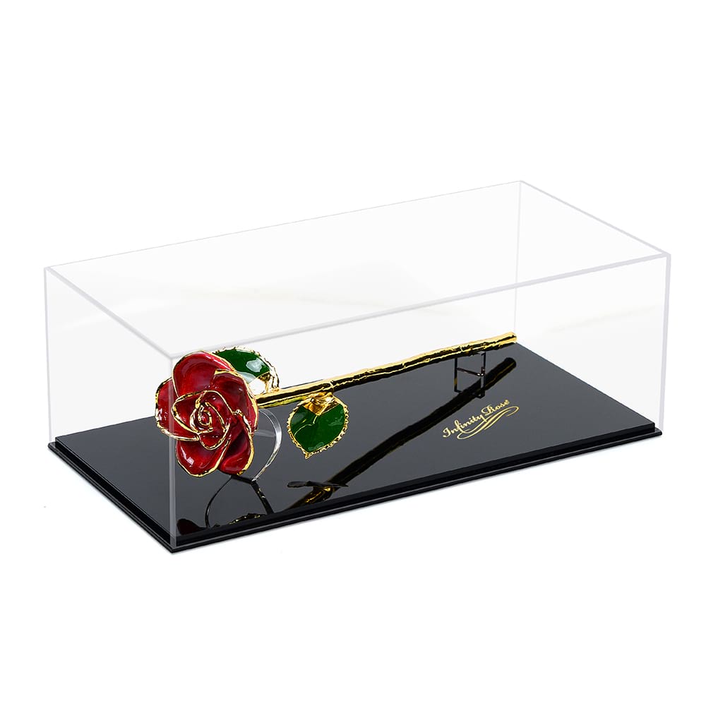 Infinity Rose in Clear Display