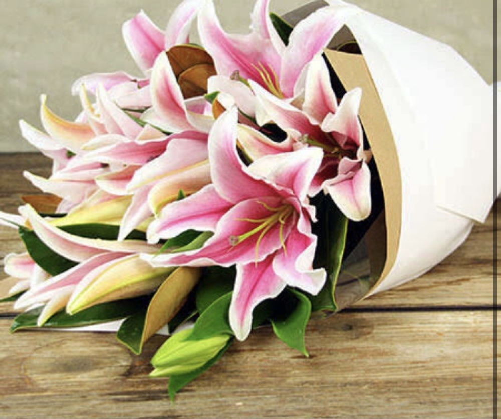 Oriental Lilys
